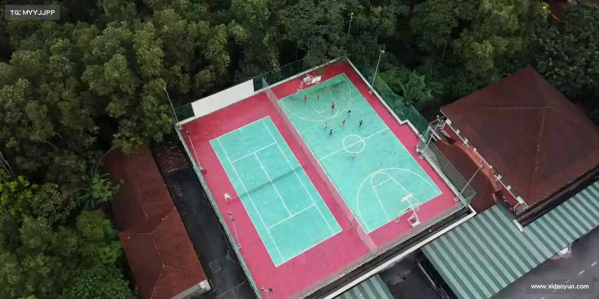 从 0 到 1 的蜕变,我们让虚拟世界触手可及!🚀🎲